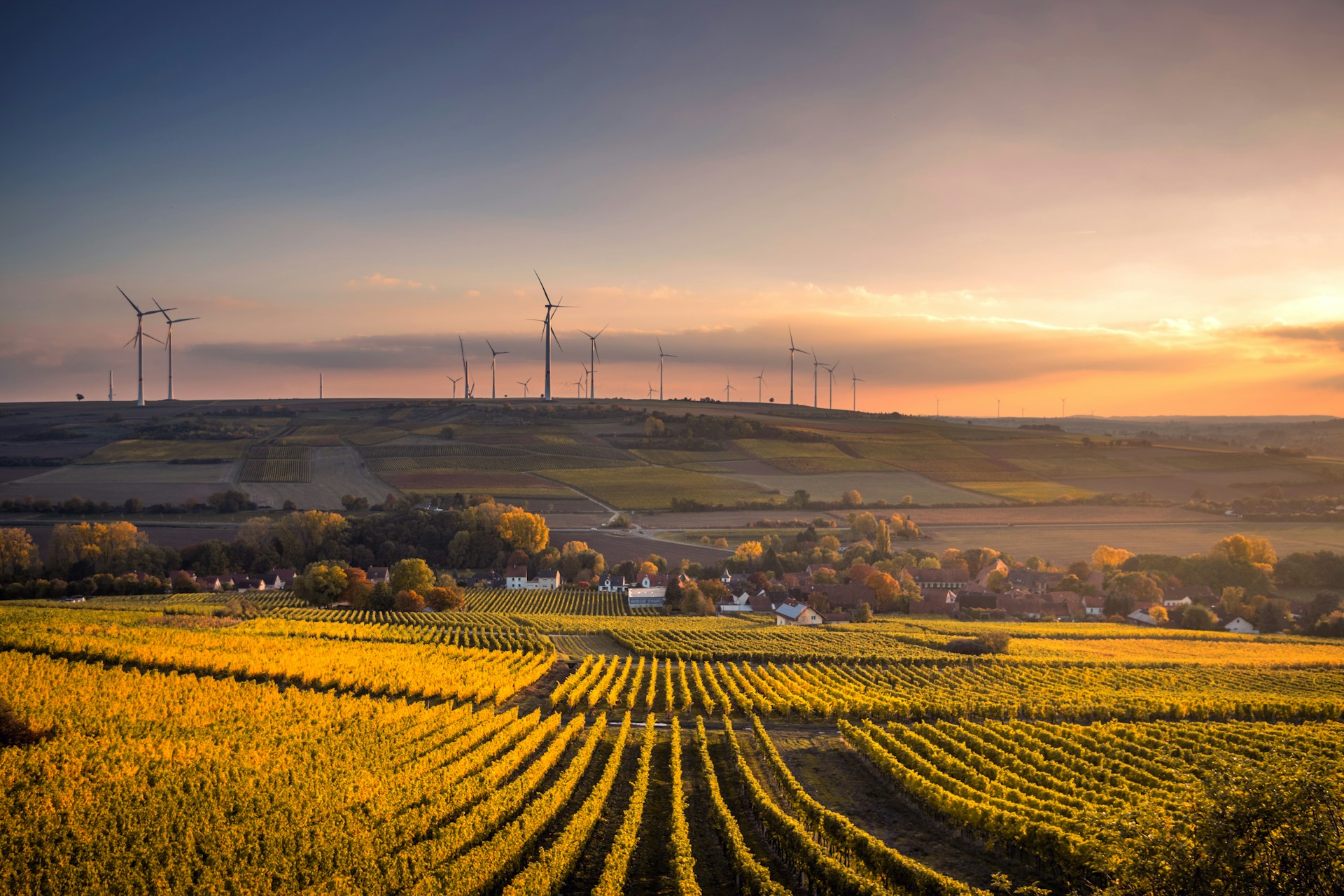 Real-world IoT applications in agriculture, industrial, and facility monitoring
